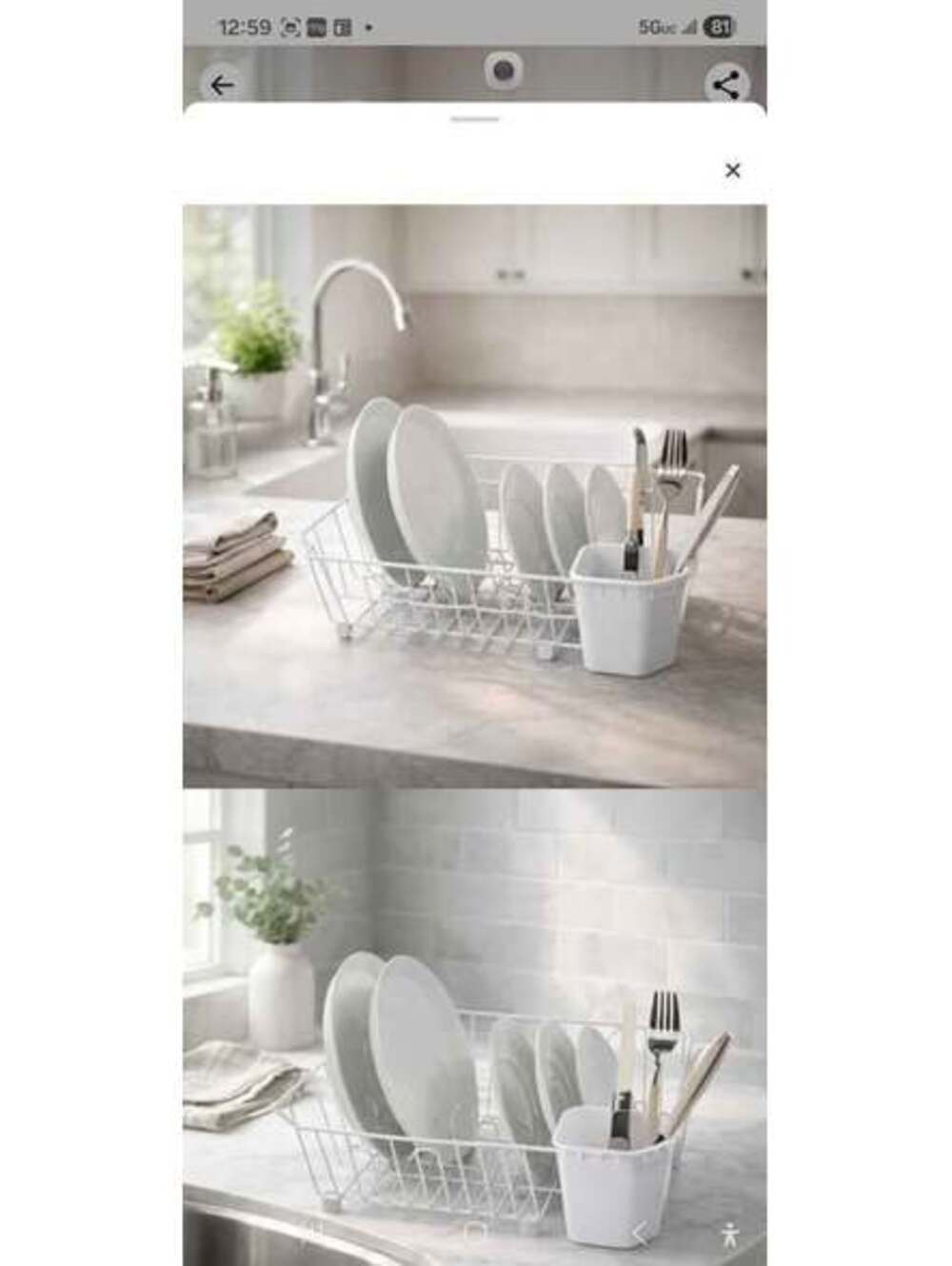 Oggi Dish Drain with Utensil Caddy (Sink Dish Rack) in white